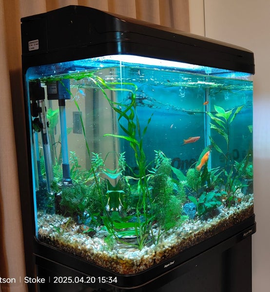 Aquarium Carousel 2