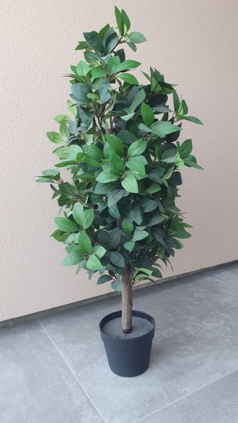 AS NEW! Artificial decor tree in pot. Entrance? Show room? Carousel 1