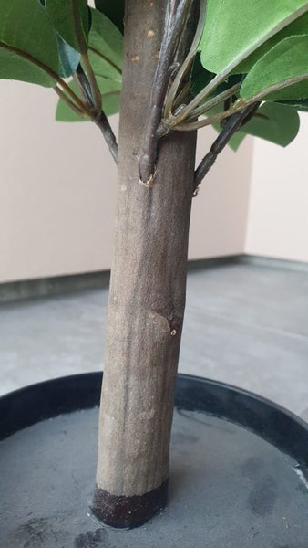AS NEW! Artificial decor tree in pot. Entrance? Show room? Carousel 10