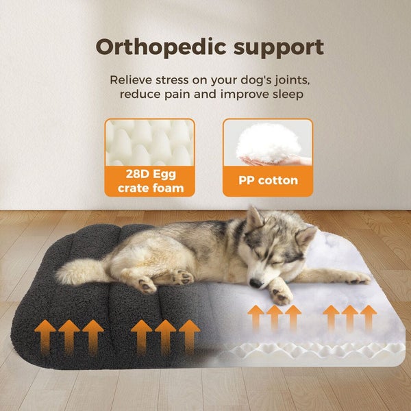 Pawz Dog Bed Orthopedic Pet Sofa Egg Foam Mattress Mat Washable Waterproof M Carousel 2