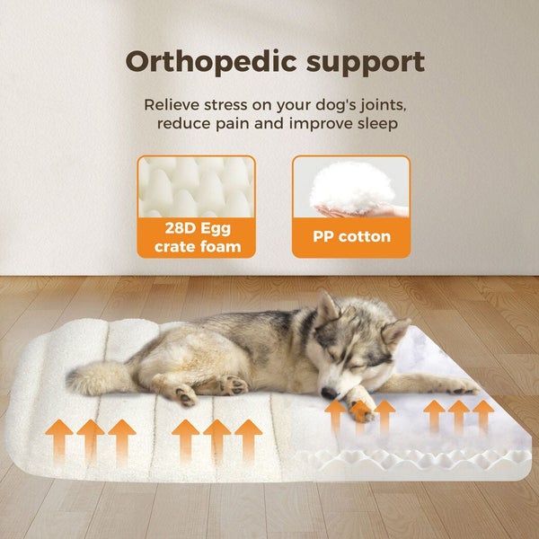Pawz Pet Dog Bed Orthopedic Sofa Egg Foam Mattress Mat Washable Waterproof M Carousel 2