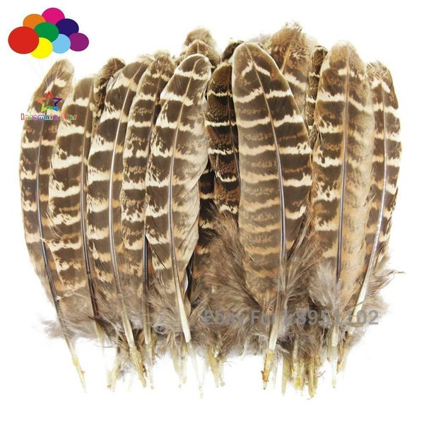 11color Pretty Premium 10-15cm/4-6inch Diy 100 PCS Female Pheasant Tail Feathers Carousel 2
