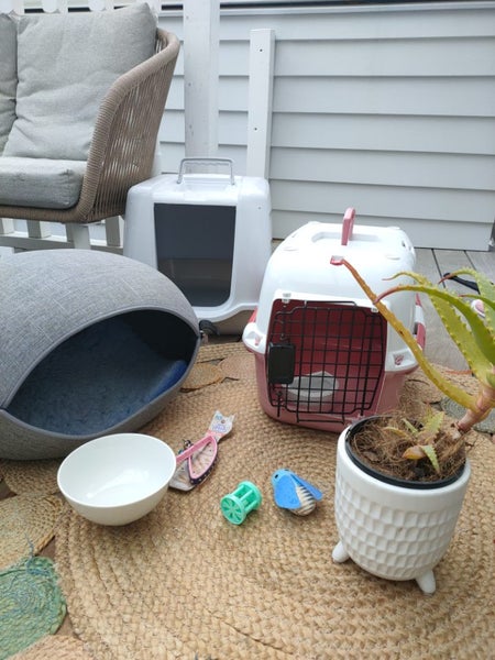 Bulk cat gear: felt bed, cage, collar, enclosed litter, toys Carousel 1