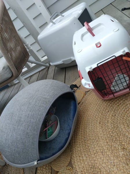 Bulk cat gear: felt bed, cage, collar, enclosed litter, toys Carousel 9