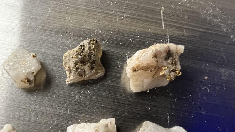 Group of 6 New Zealand Gold in Quartz Rock Specimens 1.08 Grams - Lot E217 Carousel 2