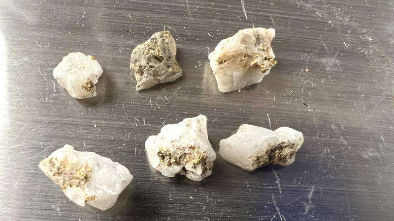 Group of 6 New Zealand Gold in Quartz Rock Specimens 1.08 Grams - Lot E217 Carousel 1
