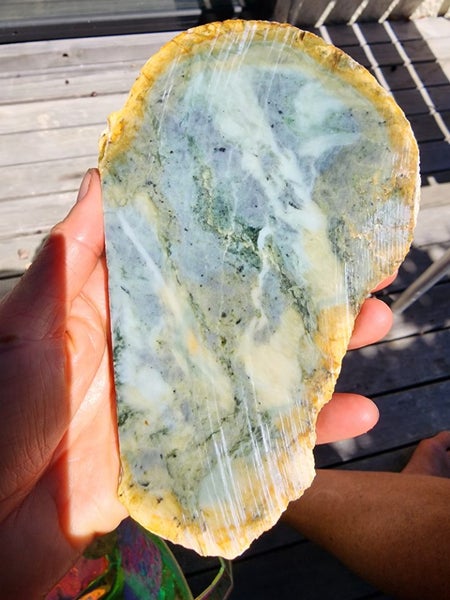 NZ Jade Pounamu Rock Slices $1 Reserve Carousel 6