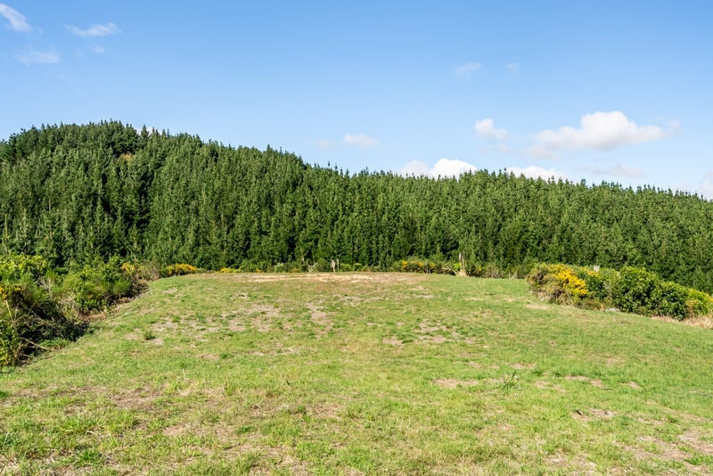 Image 2 of 17