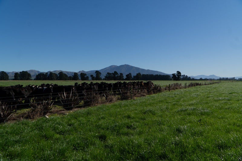 Image 1 of 24