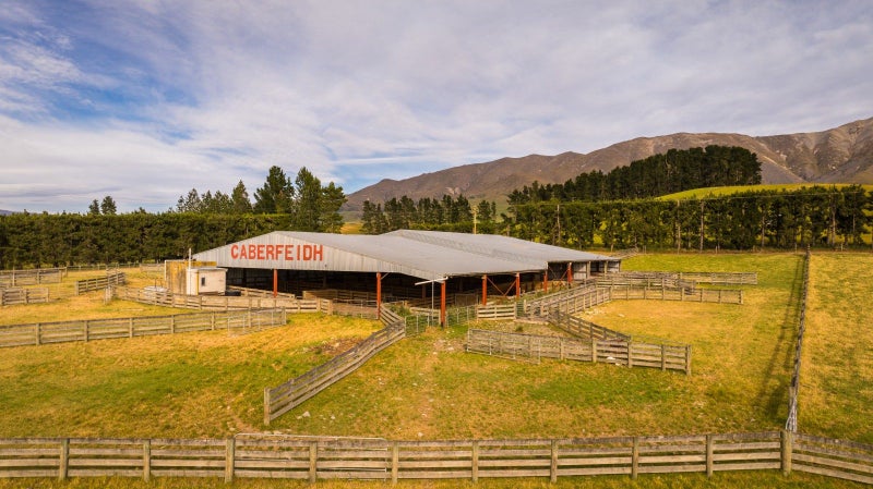 Image 2 of 29