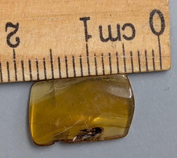 100 Million year old Fossil BURMESE AMBER With Inclusions (#T2007) Carousel 1