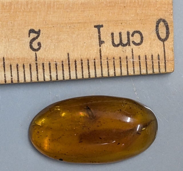 100 Million year old Fossil BURMESE AMBER With Inclusions (#T2010) Carousel 1