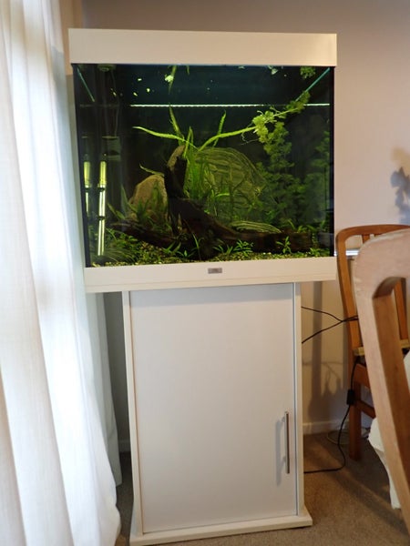 Aquarium Carousel 1