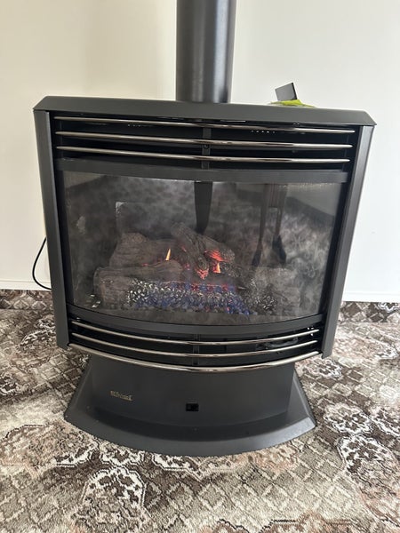 Freestanding Rinnai gas fire plus flue Carousel 1