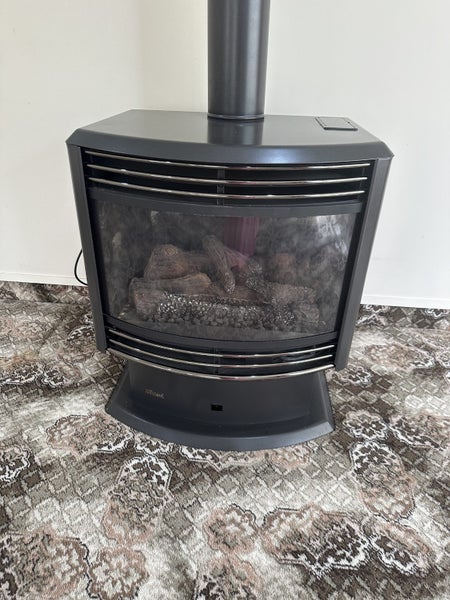 Freestanding Rinnai gas fire plus flue Carousel 2