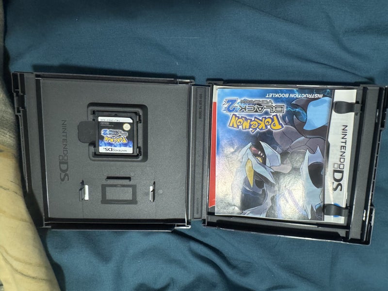 Pokemon black 2 Carousel 3