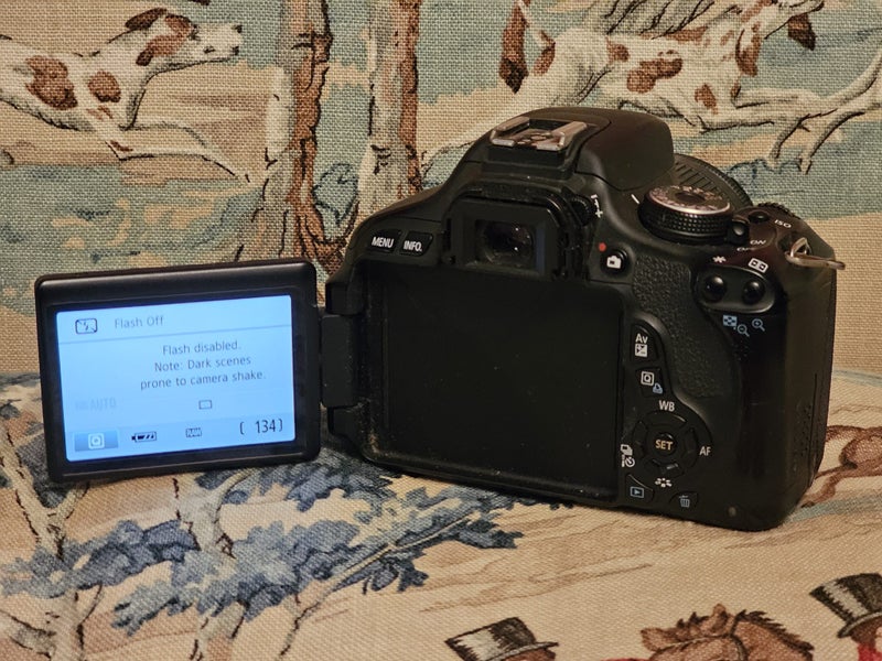 Canon 600D camera + gear Carousel 2
