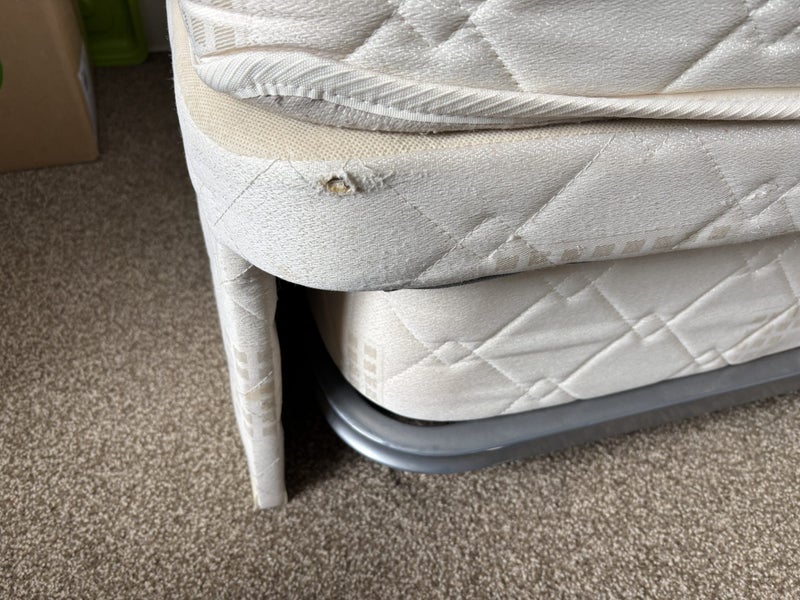 SleepyHead King Single bed with single trundler Carousel 6