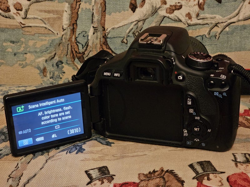 Canon 600D camera + gear Carousel 2