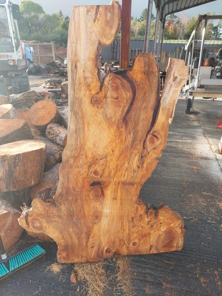 Rimu slabs...stunning Carousel 2