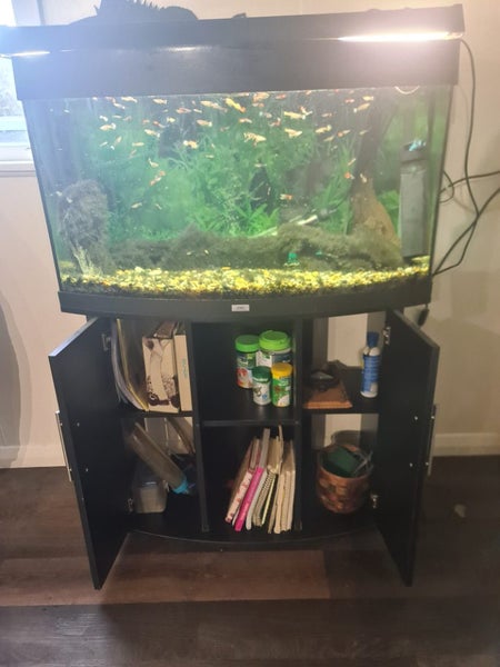 Juwel fish tank curved front 180L plus fish Carousel 2