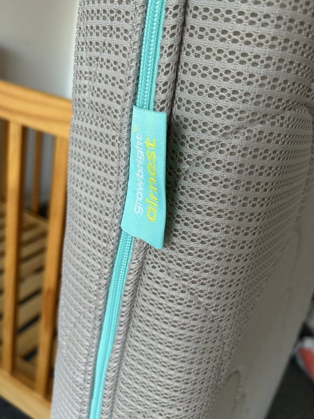 Growbright Air Mattress/excellent condition Carousel 2