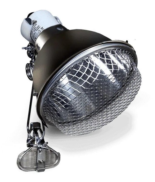 Arcadia Ceramic Reflector Clamp Lamp – Graphite 140mm Carousel 2