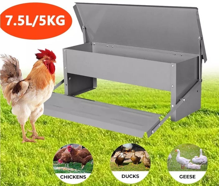 New Chicken Feeder on Afterpay Carousel 2