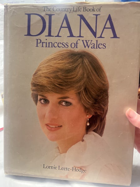 Diana princess of wales Lornie Leste-Hodge Carousel 1
