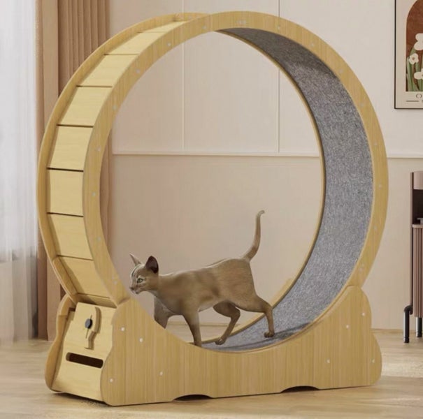 Cat treadmill Carousel 1