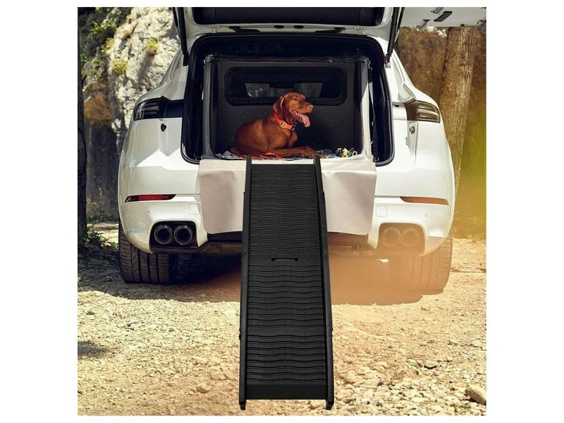 New Dog Ramp Afterpay63655003491074112
