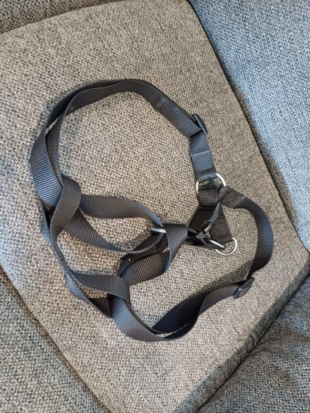 Dog Harness Carousel 2