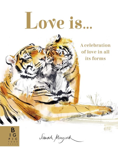 Love Is... by Sarah Maycock - Paperback Carousel 1