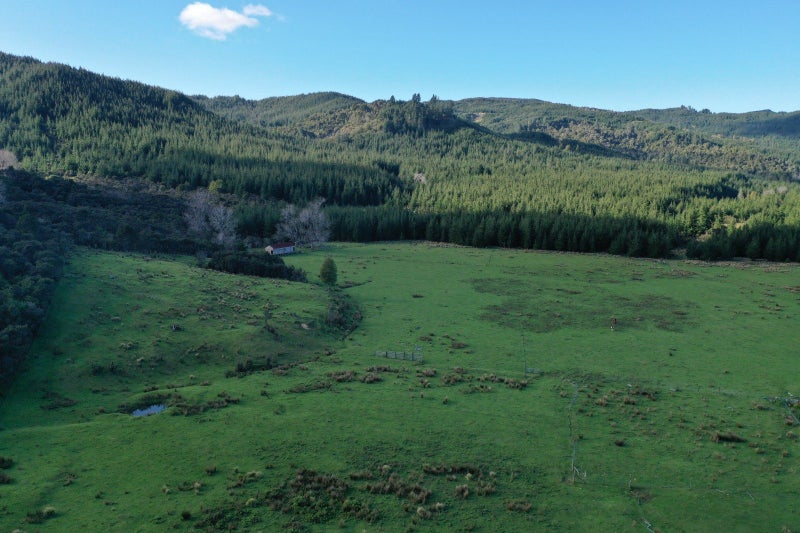 Image 1 of 26
