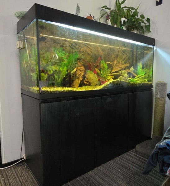 Aquaone Brilliance 1500 Carousel 1
