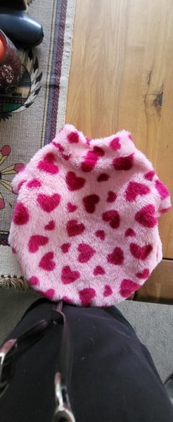 Dog Coat Carousel 3