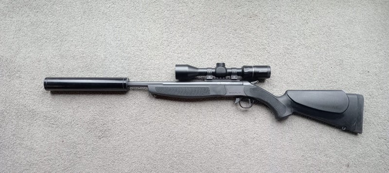 Bergara Scout .308 Carousel 2