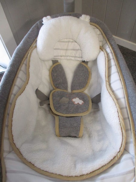 Ingenuity Boutique rocking seat bella teddy - pickup Morrinsville Carousel 4