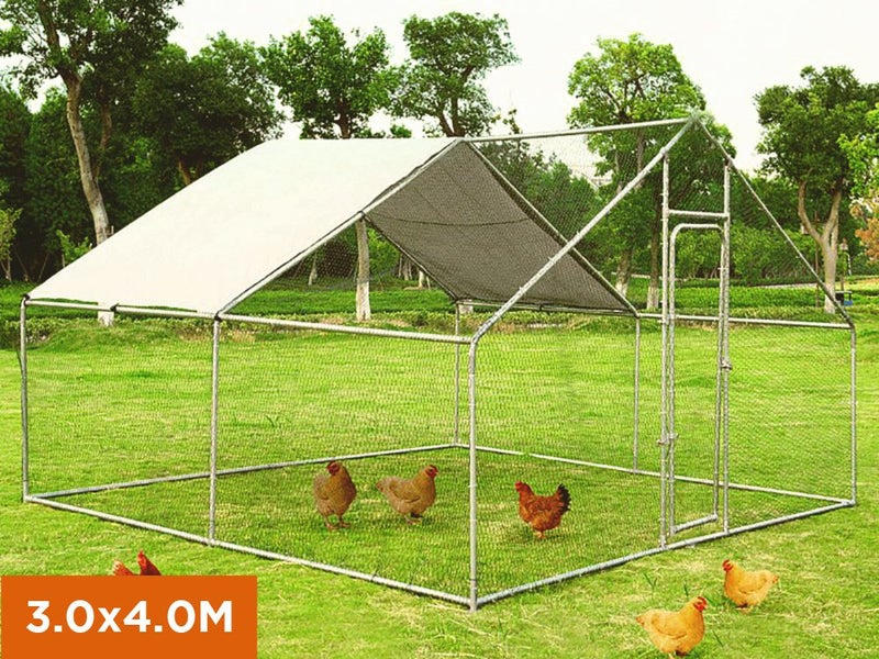 Chicken Run Chicken Coop Carousel 2