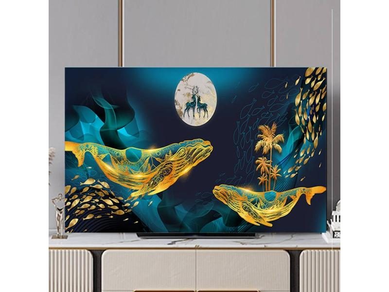 TV Cover TV Protector Carousel 1