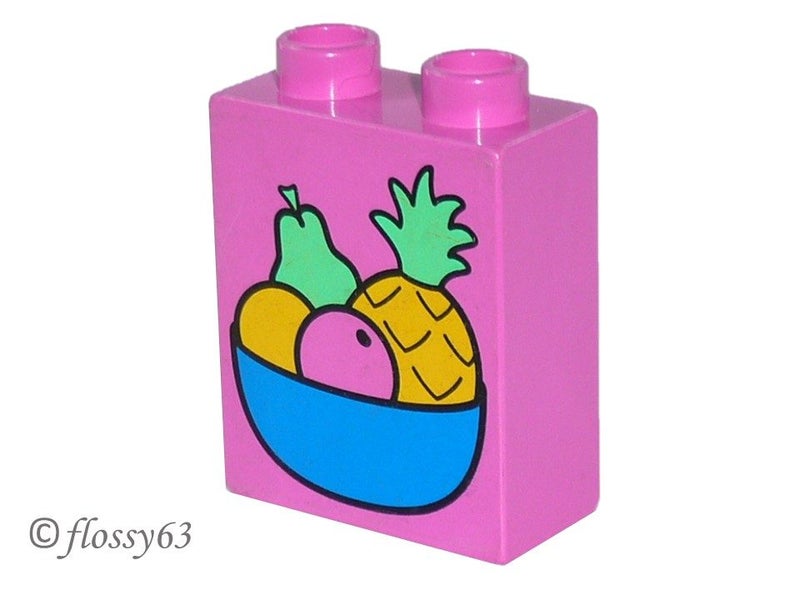 ®™DUPLO - Brick 1 x 2 x 2 with Fruit Bowl Pattern ~Vintage / Retired 1997~ Carousel 1