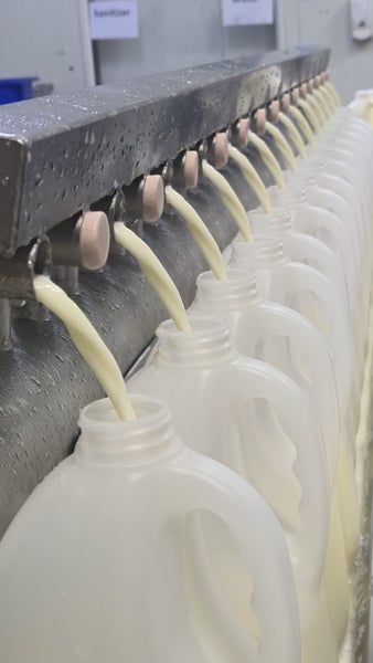 Dairy Manufacturing Business. All gear and ORIGIN EARTH Brand Carousel 2