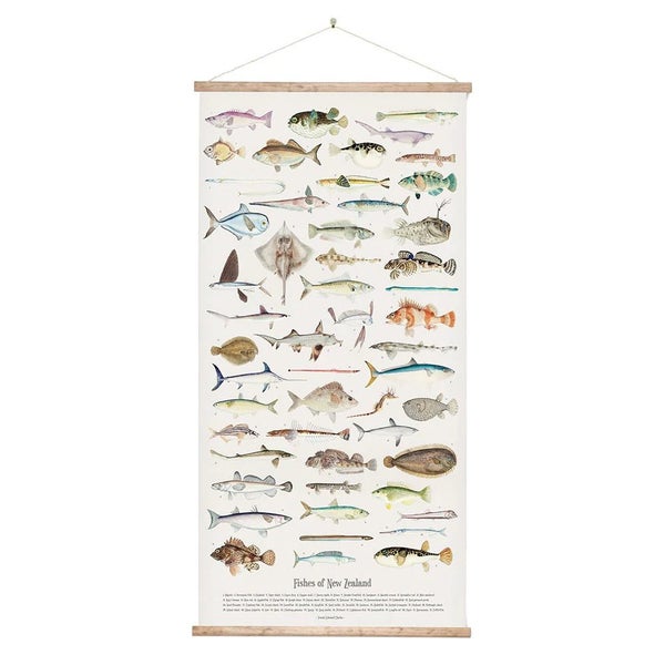Fishes of New Zealand - Wall Chart62995624548226112