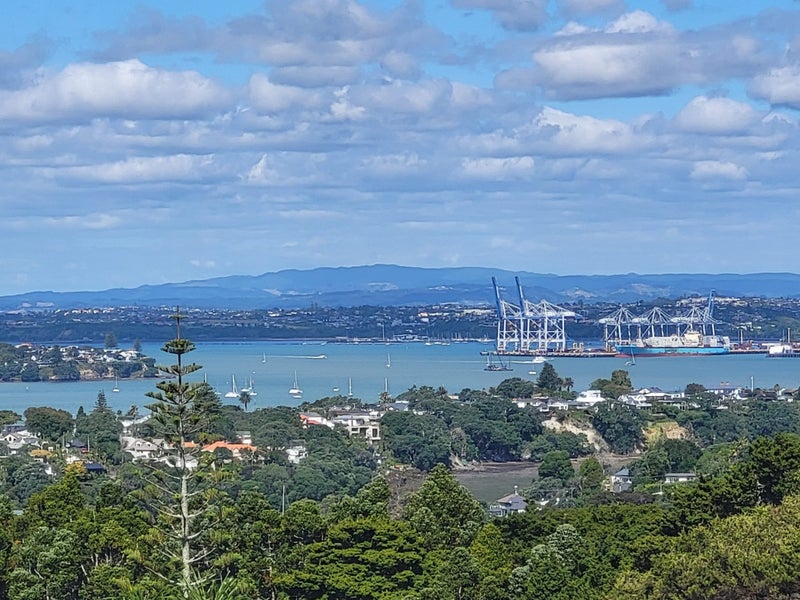 Image 1 of 18
