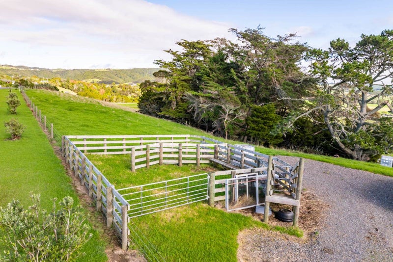4.79Ha Lifestyle Block - Build your Dream Home62867861670019111