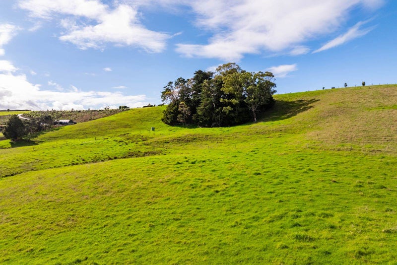 4.79Ha Lifestyle Block - Build your Dream Home62867861670019114