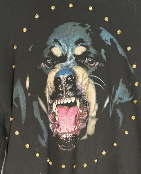 Givenchy Rotweiller Hoodie Carousel 2