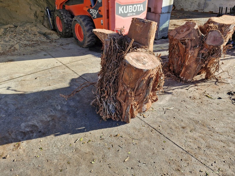 Pohutukawa Firewood Carousel 2
