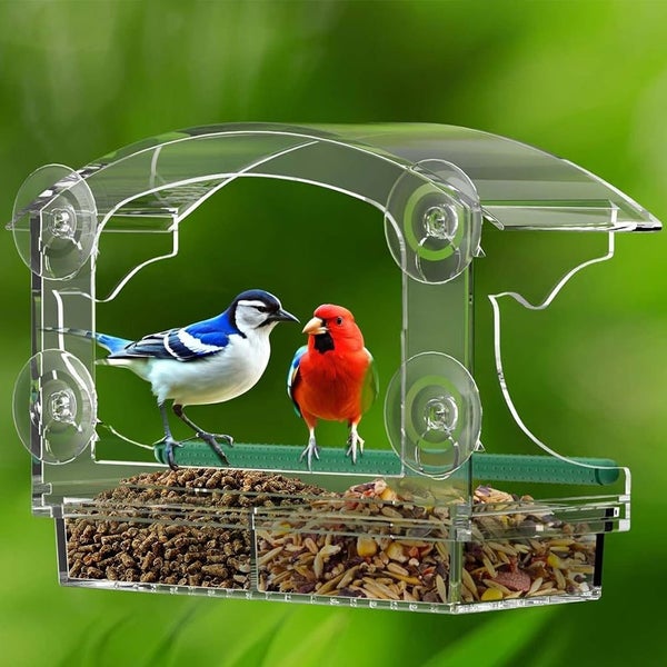 Clear Window Bird Feeder Carousel 2
