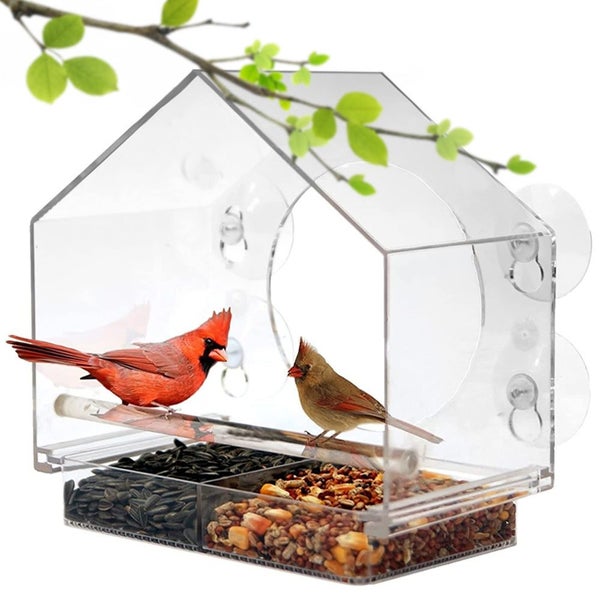 Acrylic Window Bird Feeder Carousel 1